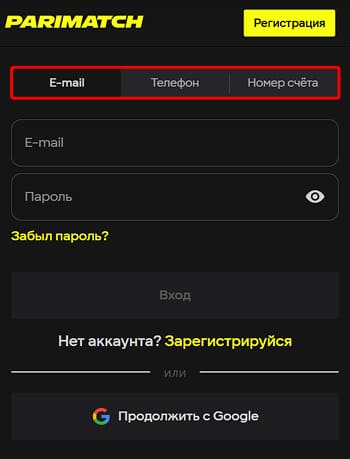 Страница входа с несколькими способами авторизации Войдите, чтобы активировать бонусы и начать игру